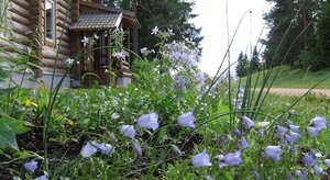 Вершина Селигера