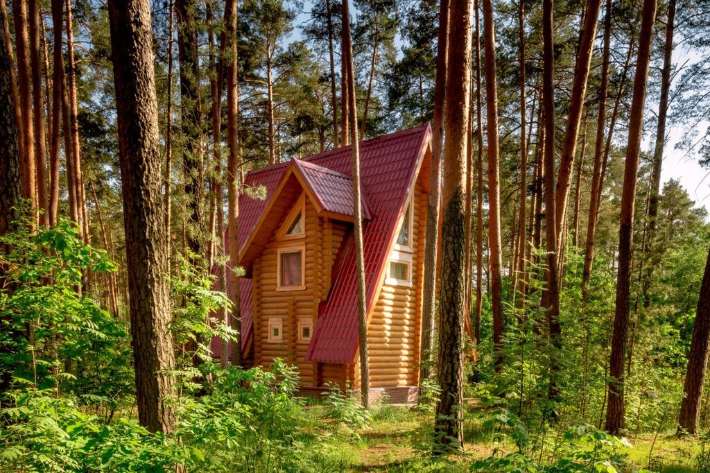 Базы отдыха владимирской области цены