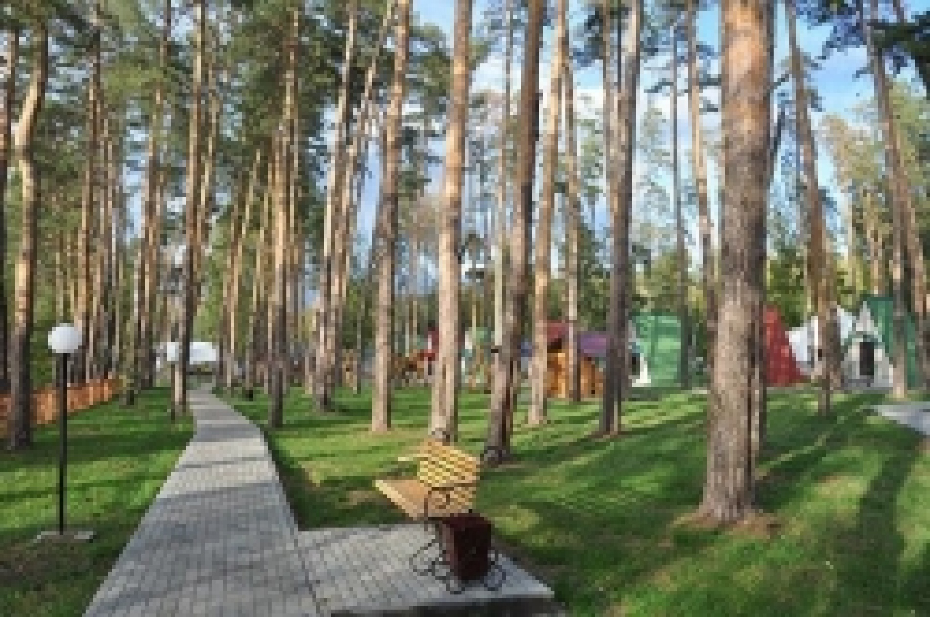 Фото Галдым