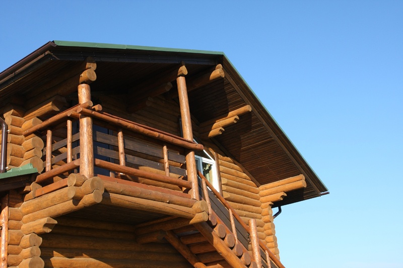 Фото Королевская охота