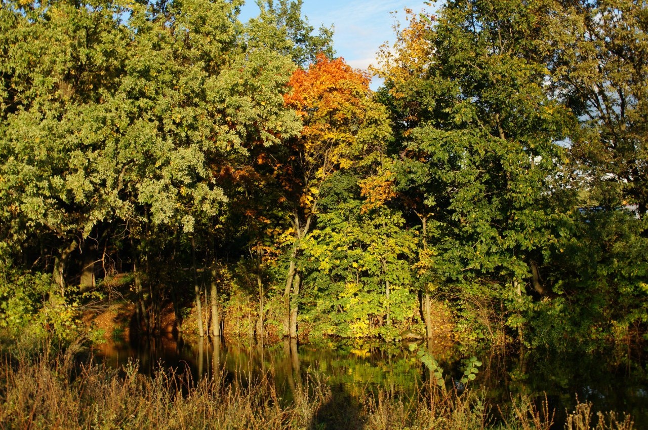 Фото Живые родники