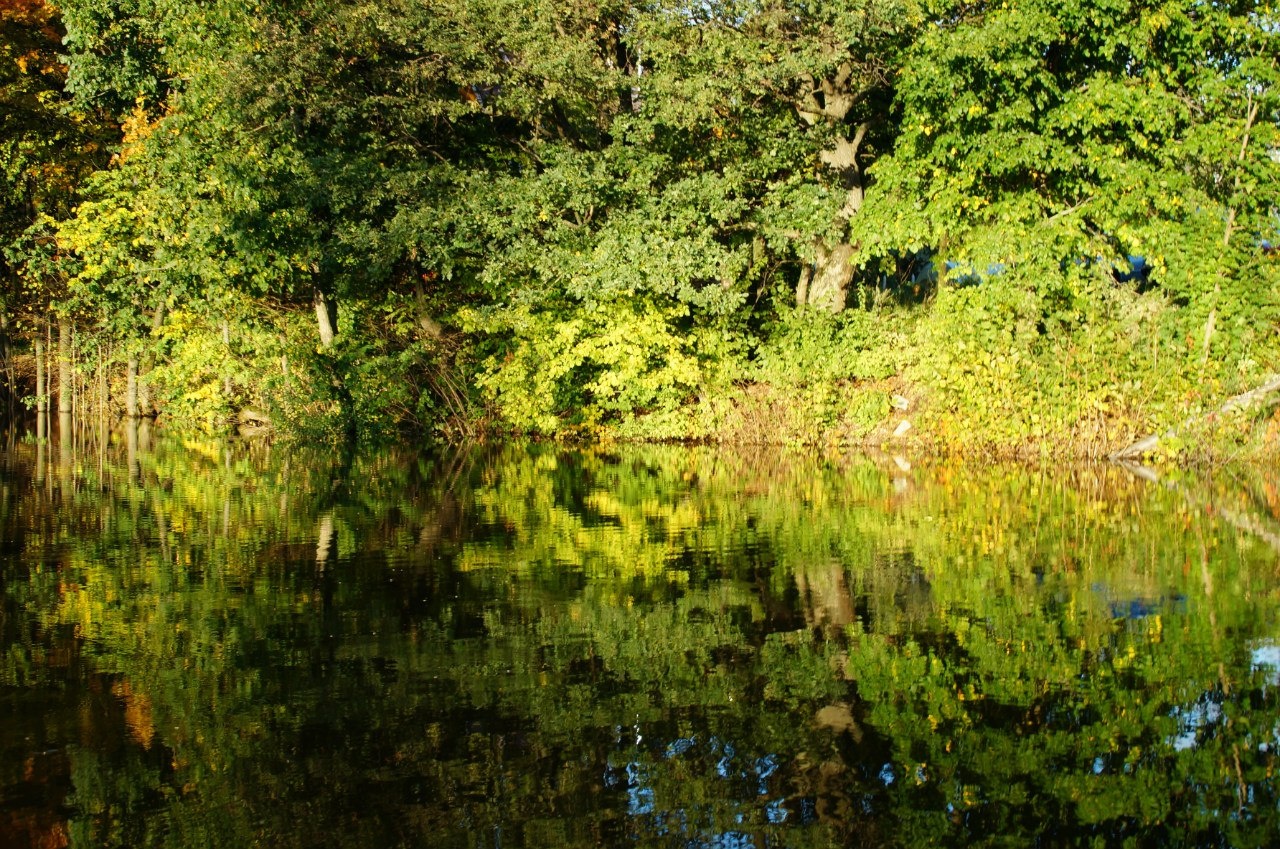 Фото Живые родники