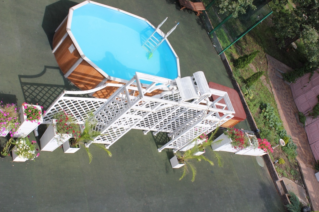 Фото Боровница