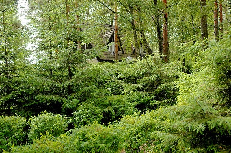 Фото Снежный