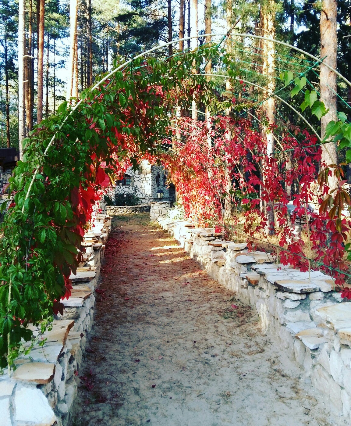 Фото Усадьба Мещёрская