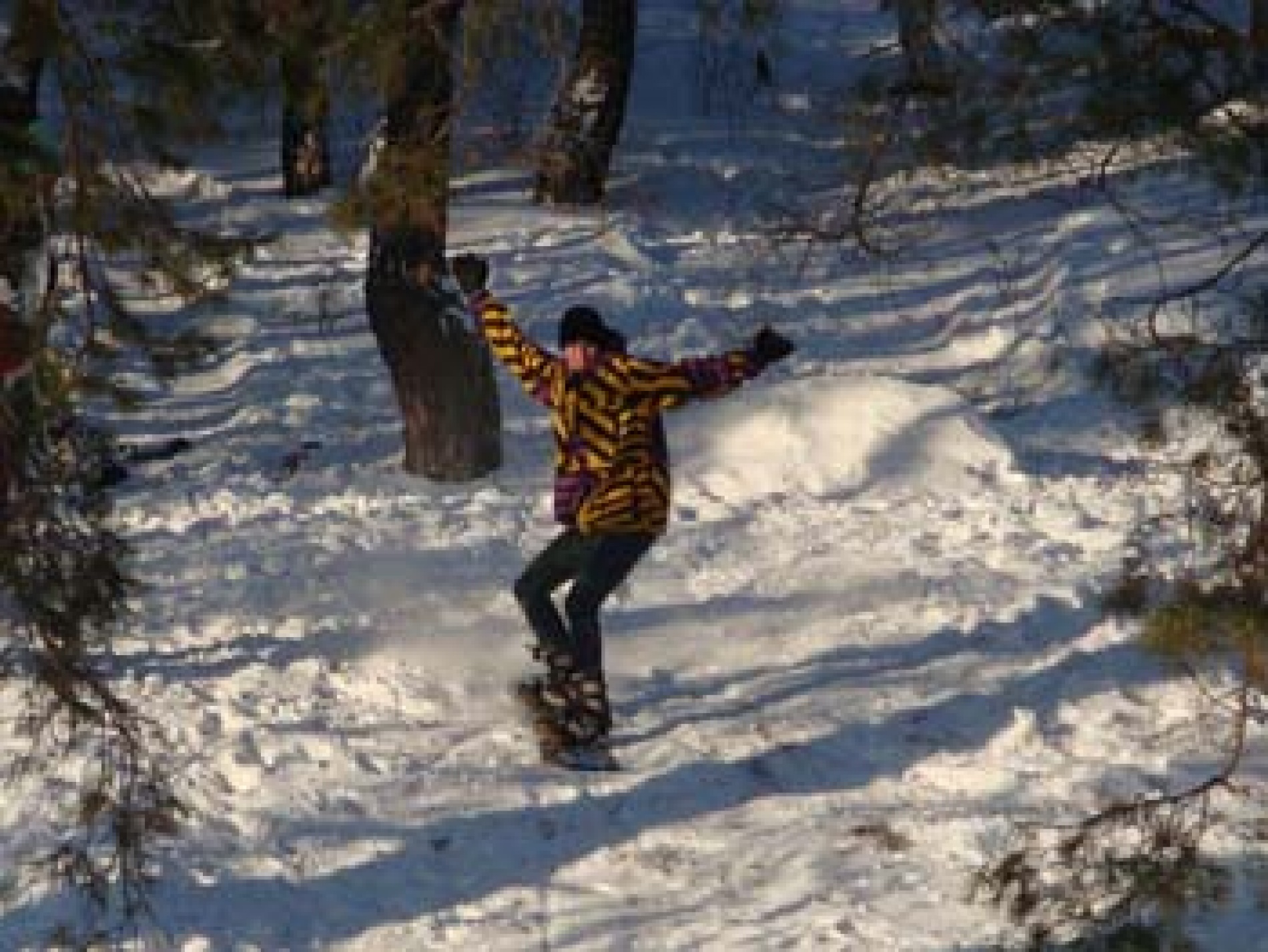 Фото Sosnovoe family club