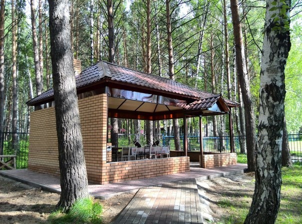 Фото Лесной