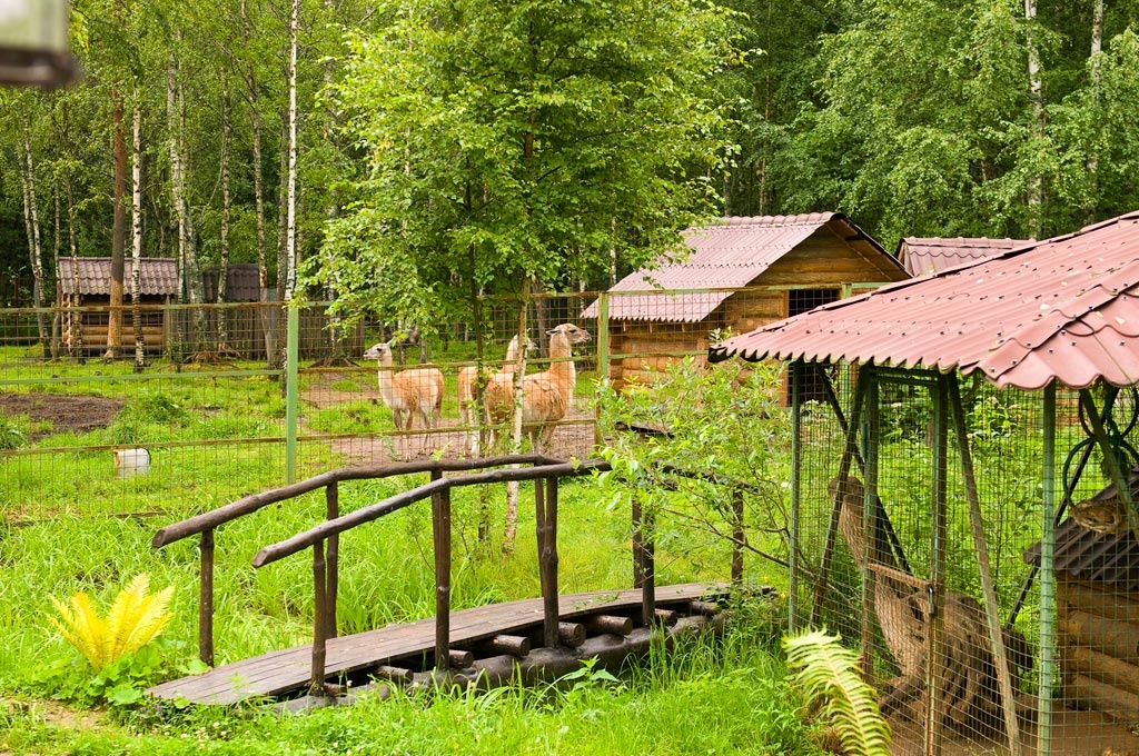 Фото Селигерское Заплавье