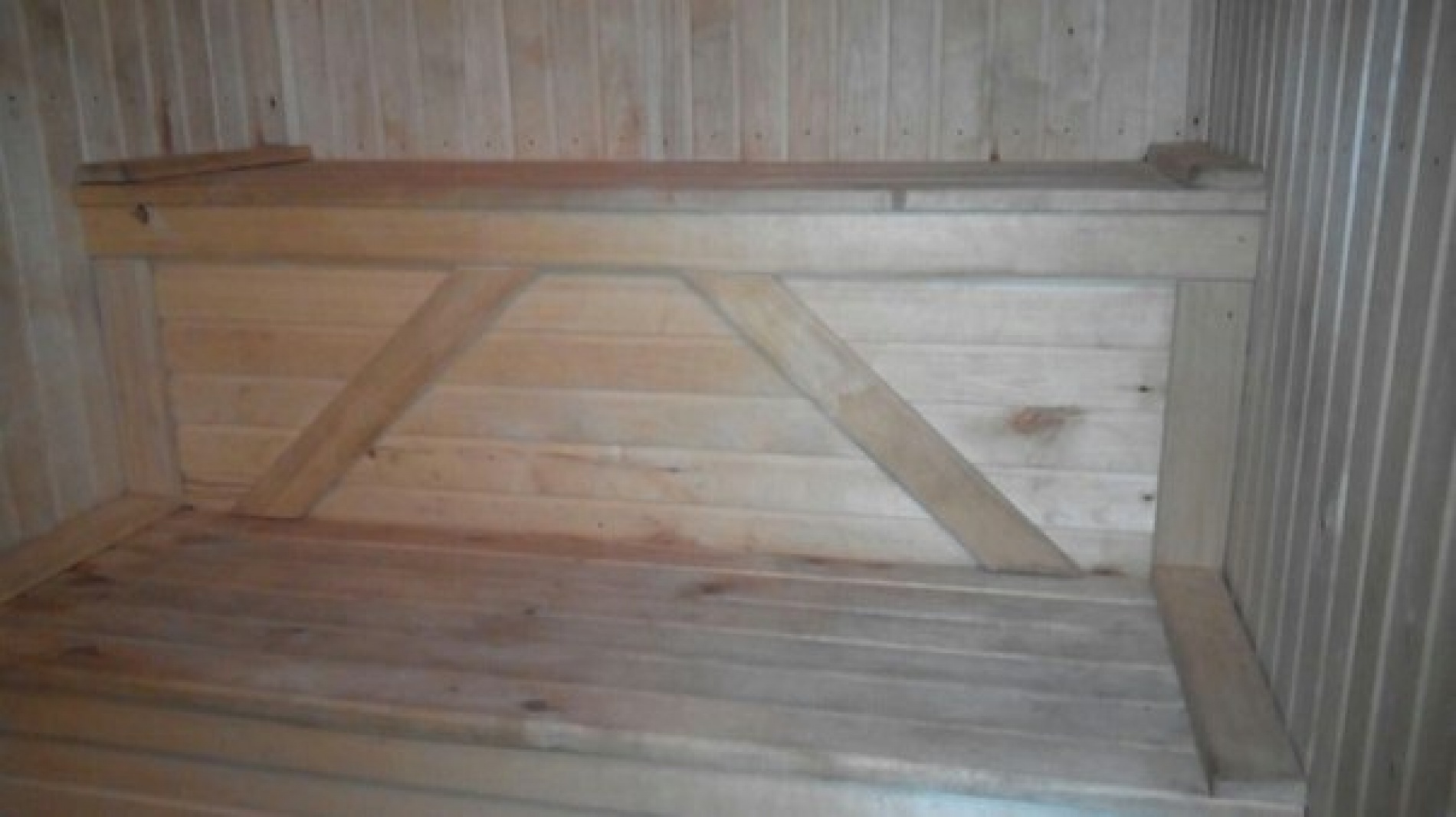 Фото Светлячок