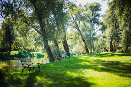 Дом отдыха Лужки клуб  — фото 4