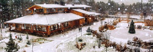 Гостиница Артиленд в Балашихе