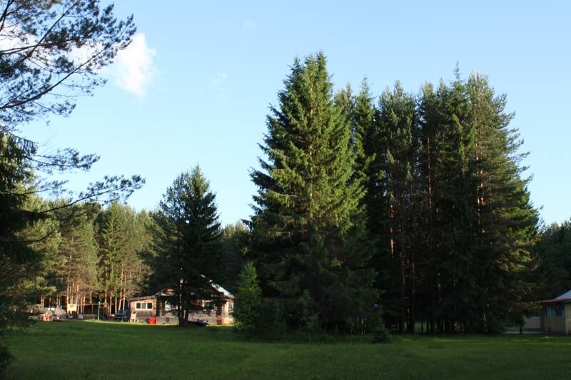 База, дом отдыха Сосновые шишки, Кировская область, фото