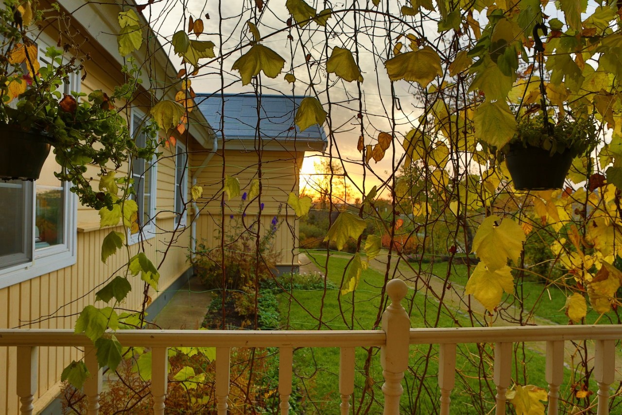 Фото Гостевая усадьба Тригорская 1