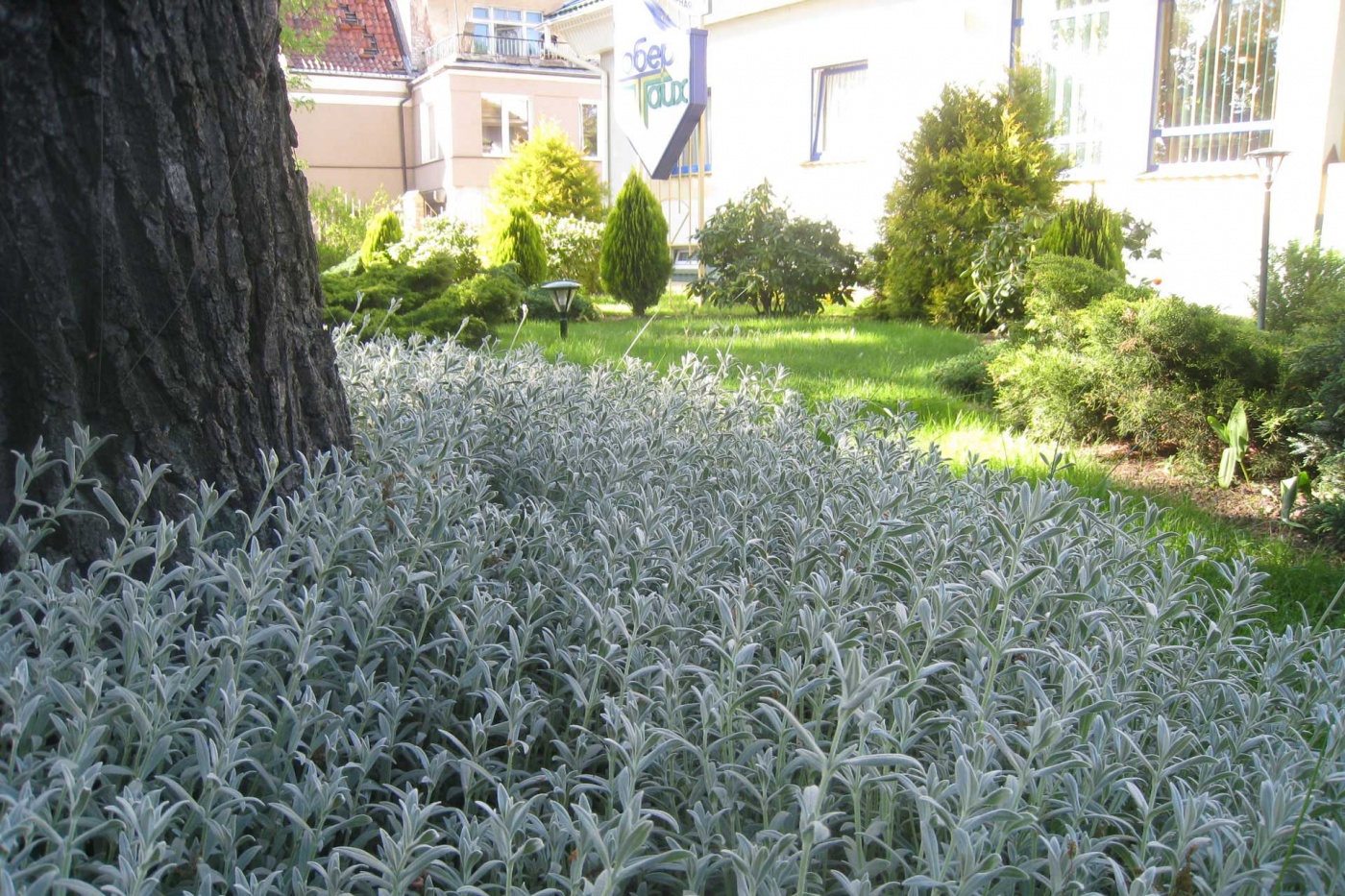 Фото Обертайх