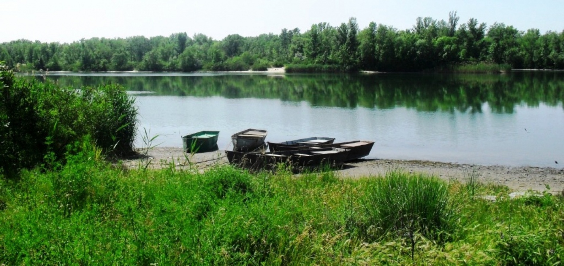 Фото Парамон