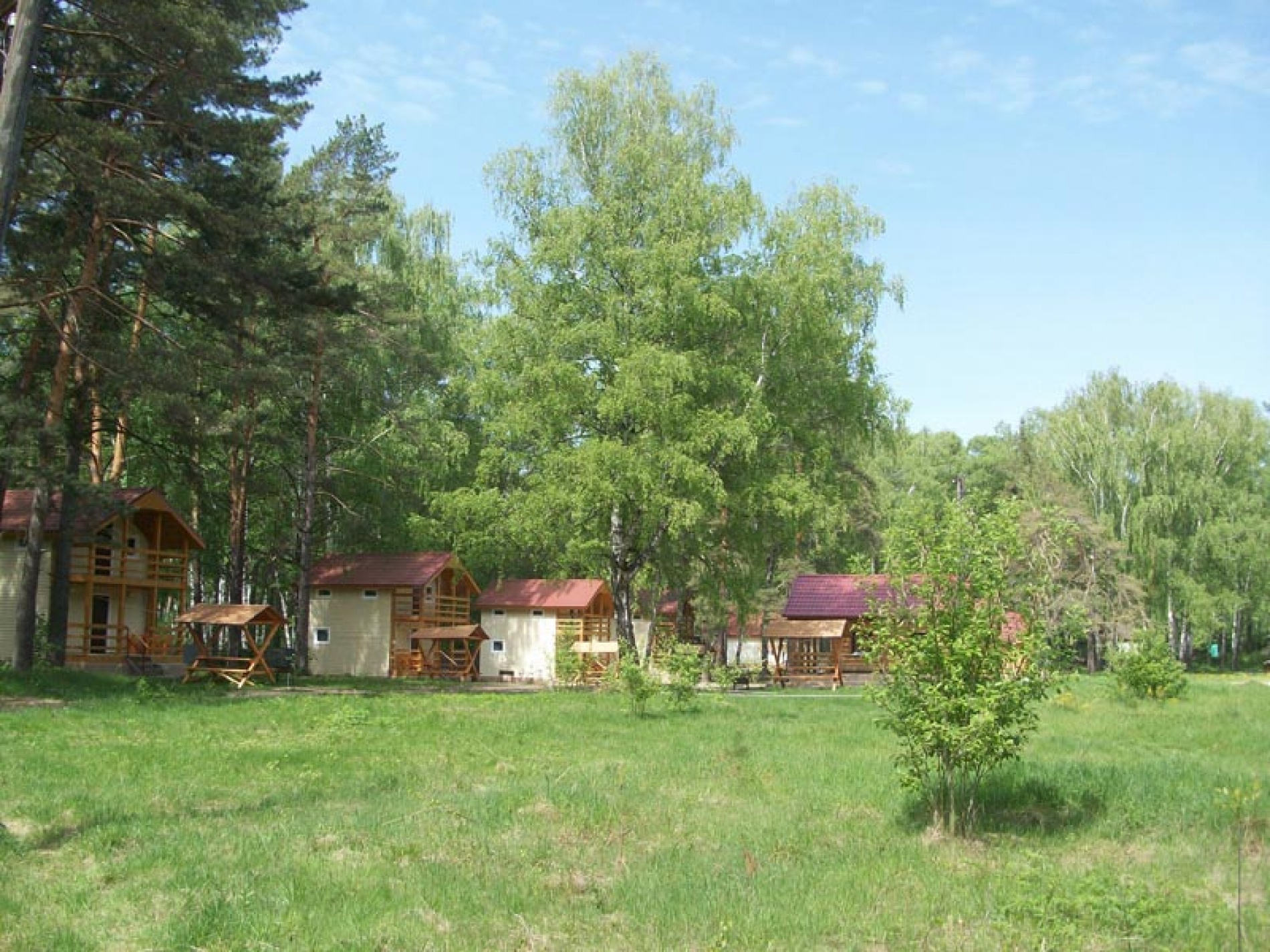 Фото Лебяжье