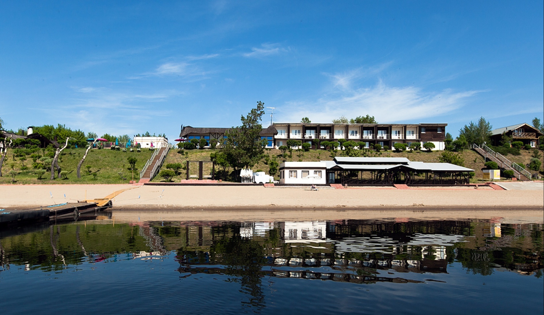 Фото Подсолнух