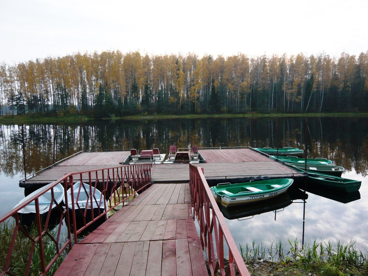 Фото Лесная дача