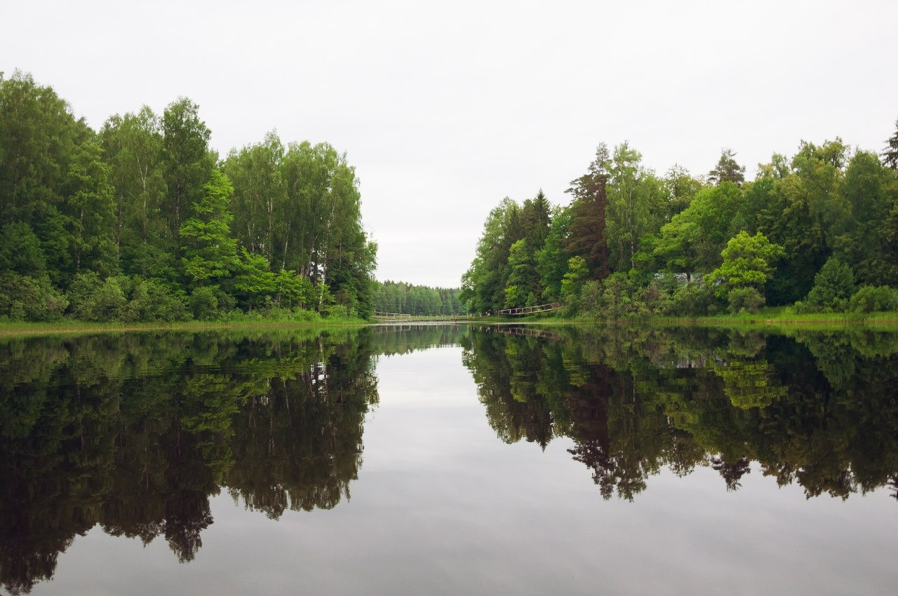 Фото Лесная дача