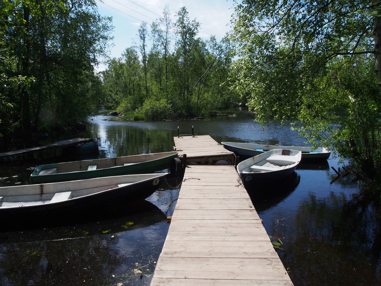 Фото Беличье