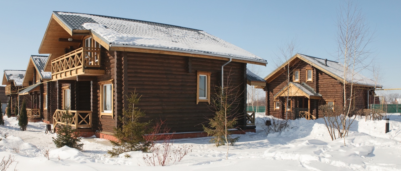 Фото Подсолнух