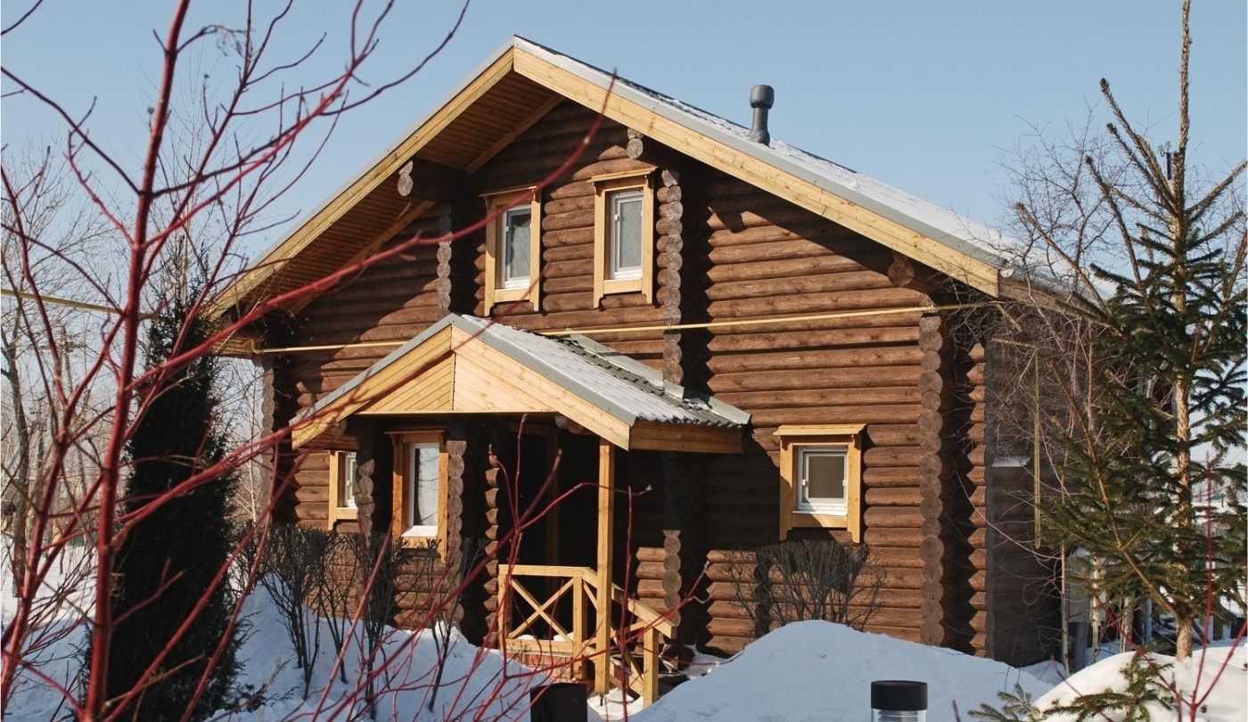 Фото Подсолнух