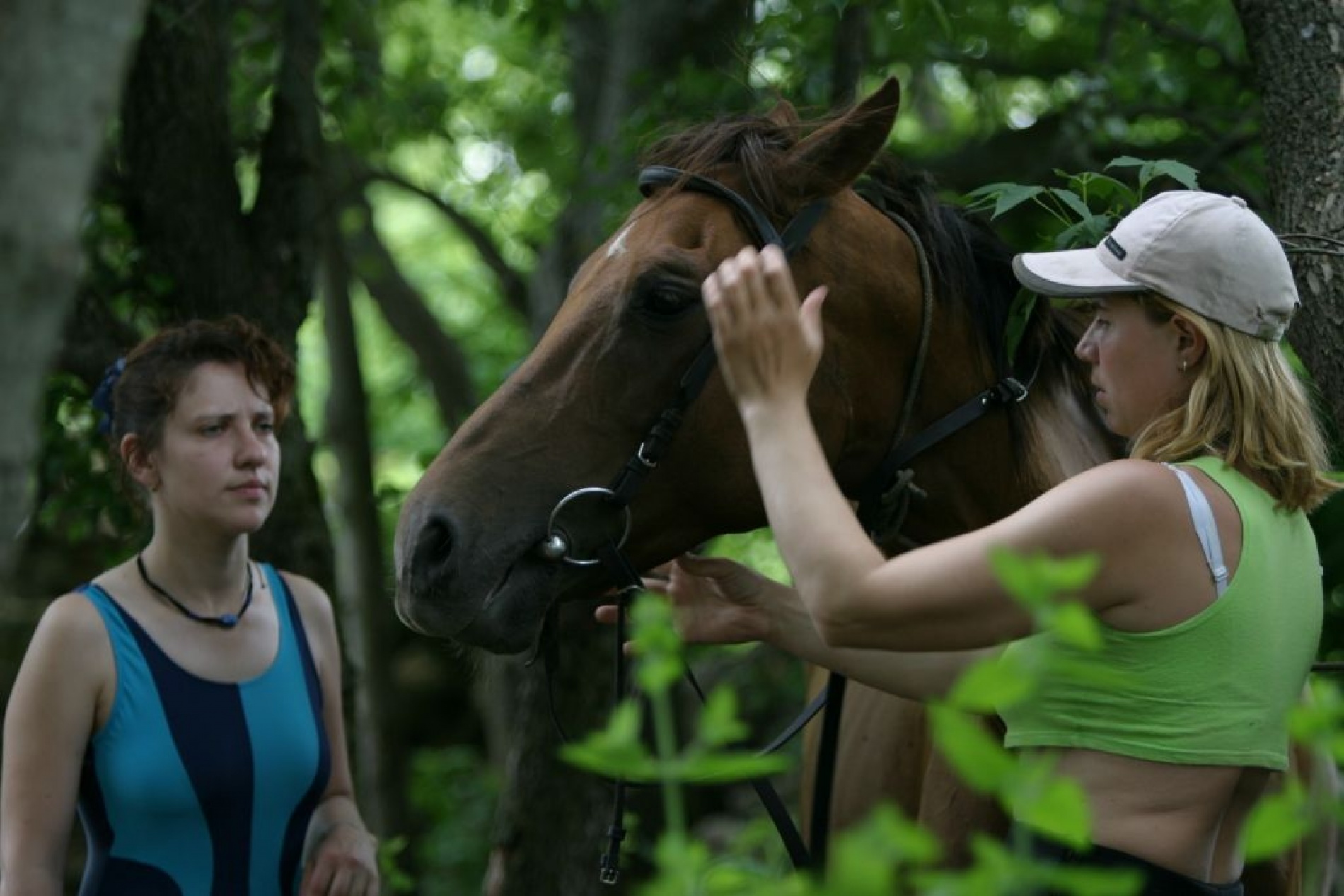 Фото Старая мельница