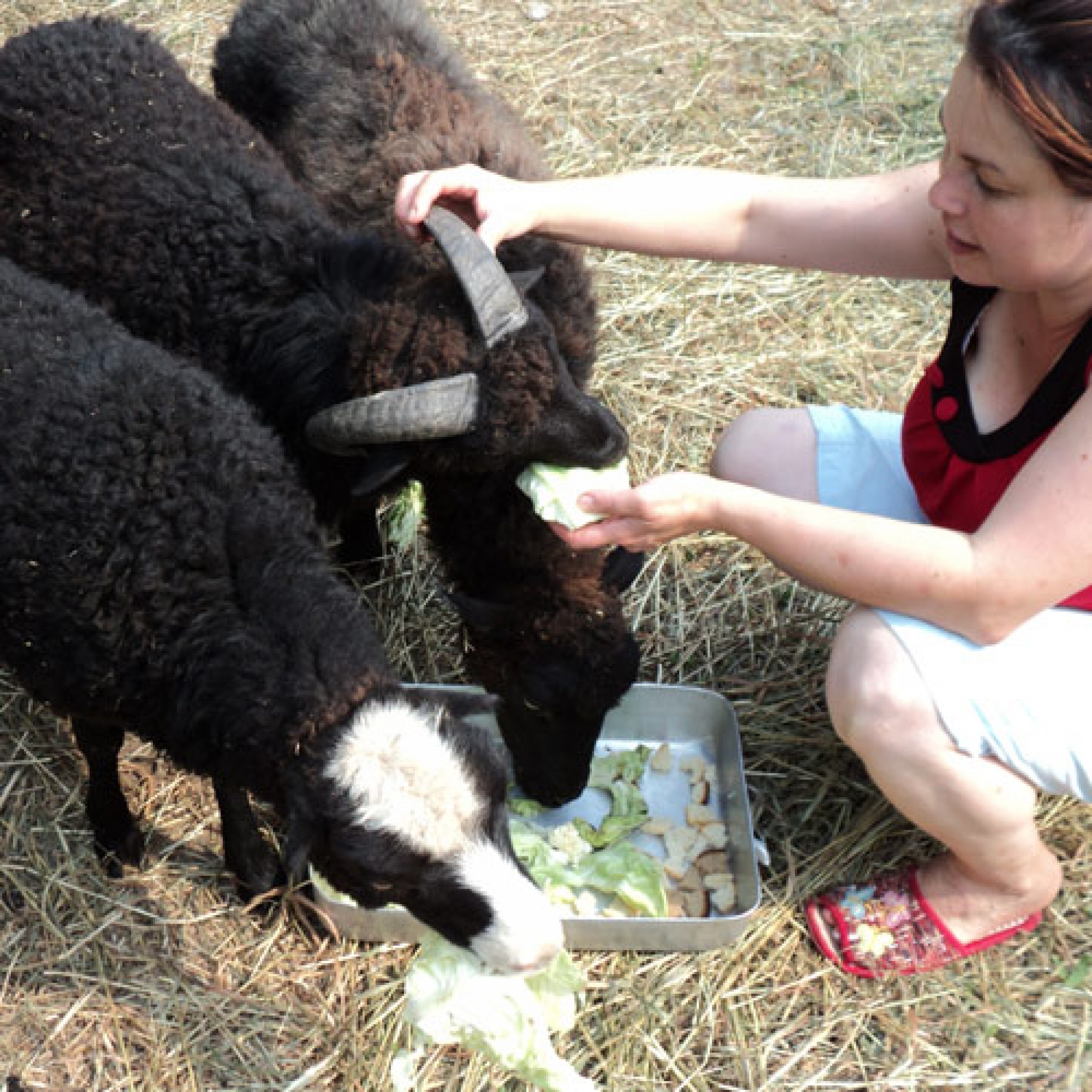 Фото Васильсурский