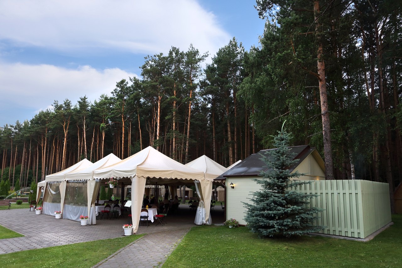 Фото Сосновый бор