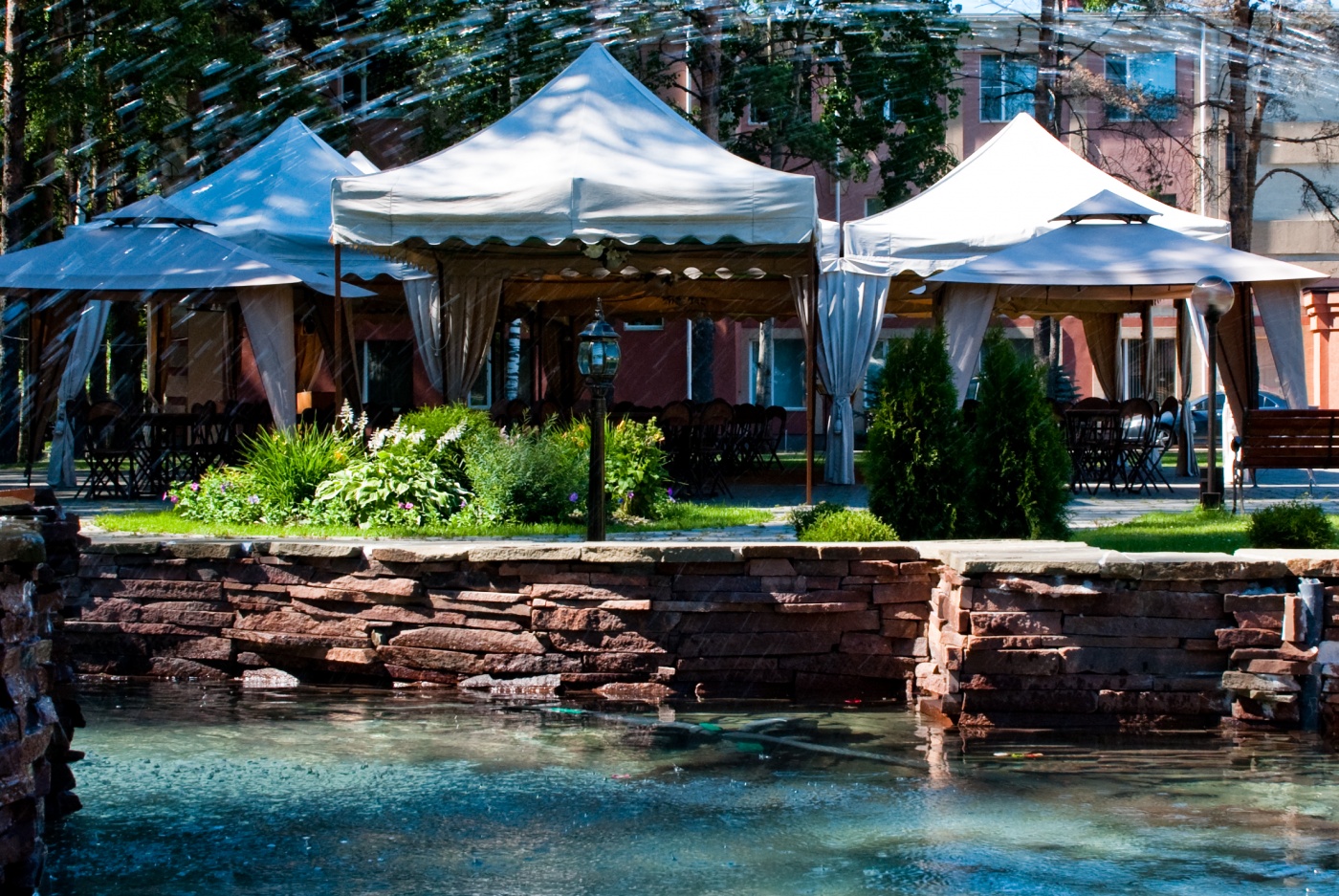 Фото Сосновый бор