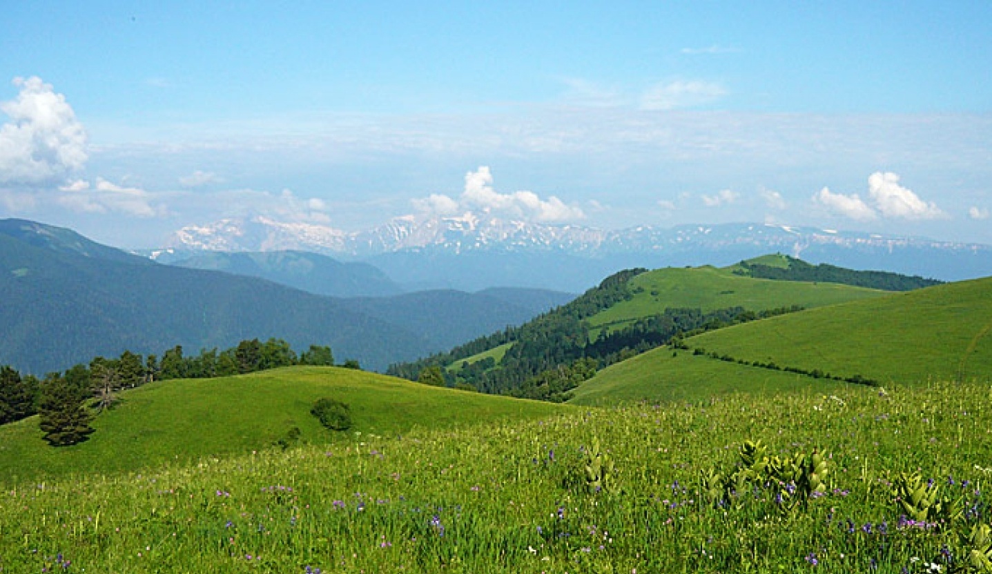 Фото Усадьба Парфенова