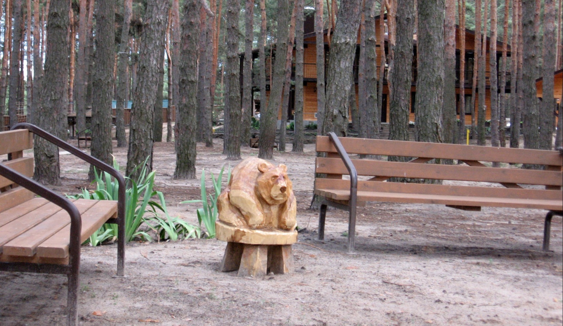 Фото Аркадия