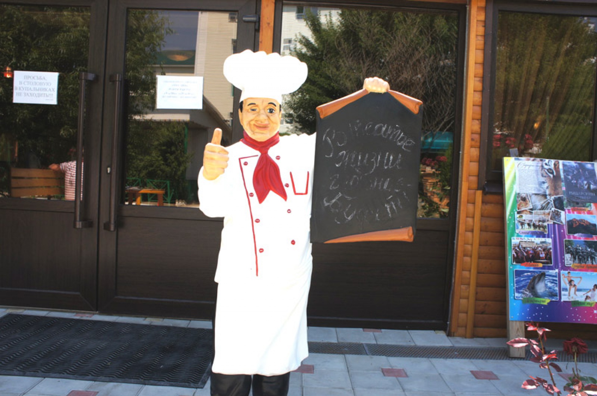 Фото Афалина