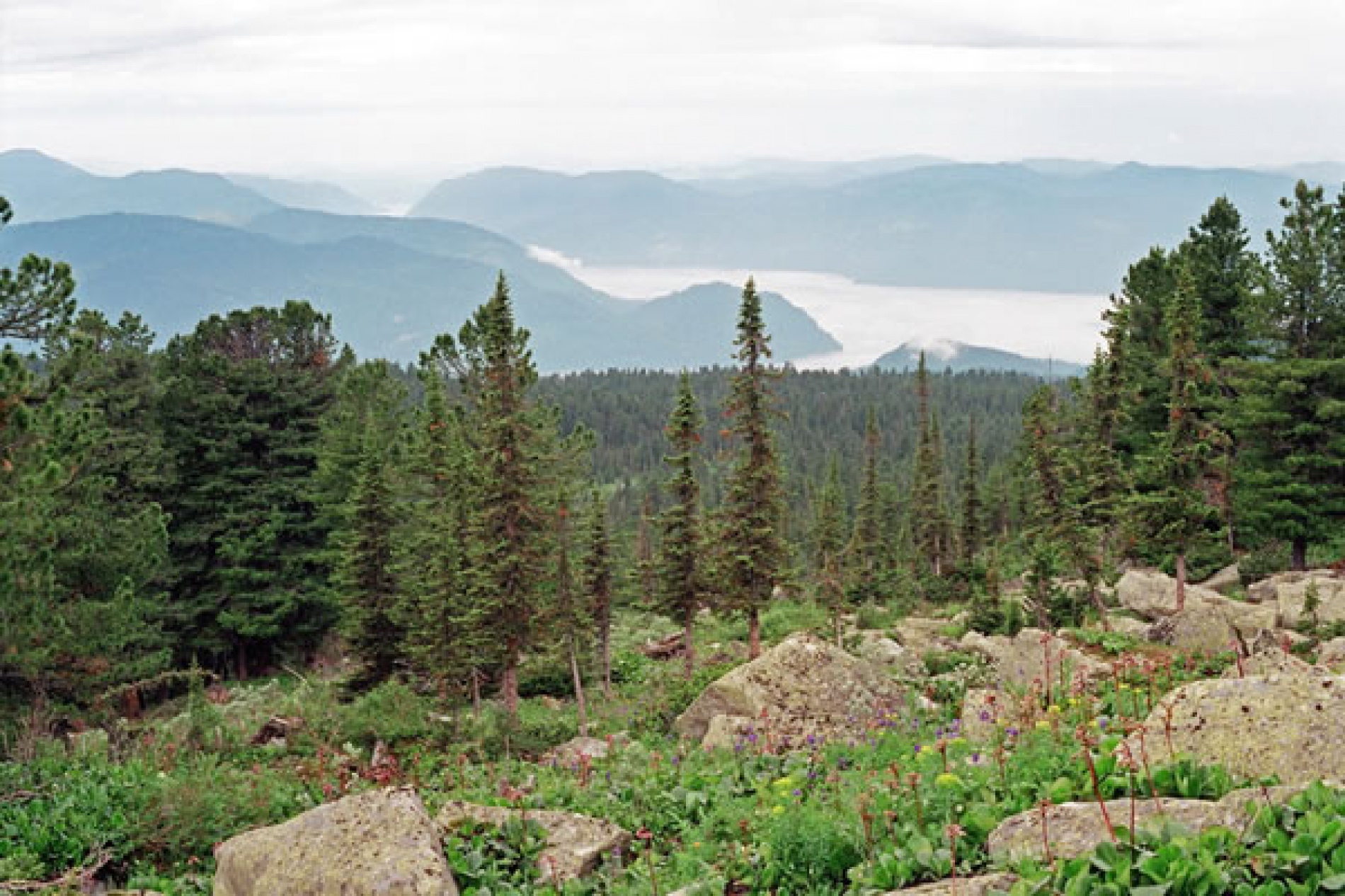 Фото Алтын-Кёль