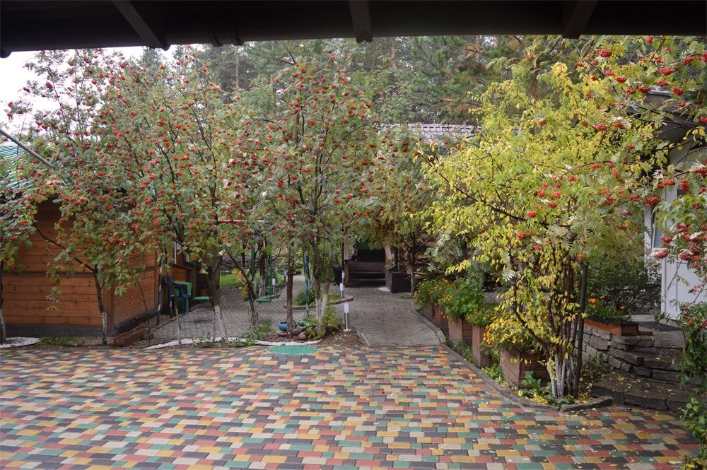 Фото Лесная поляна