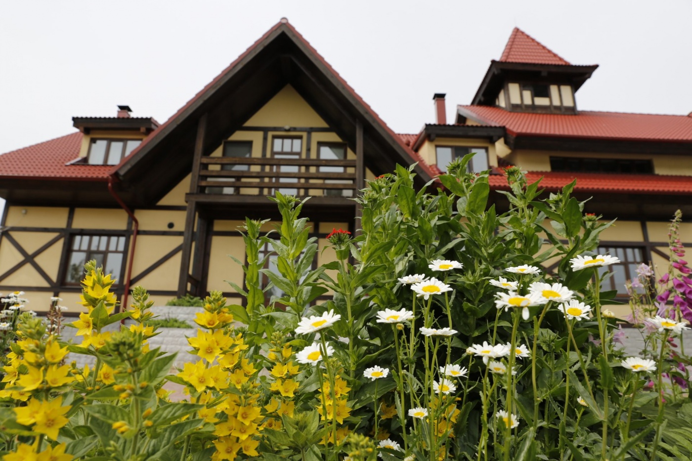 Фото Пихтовое