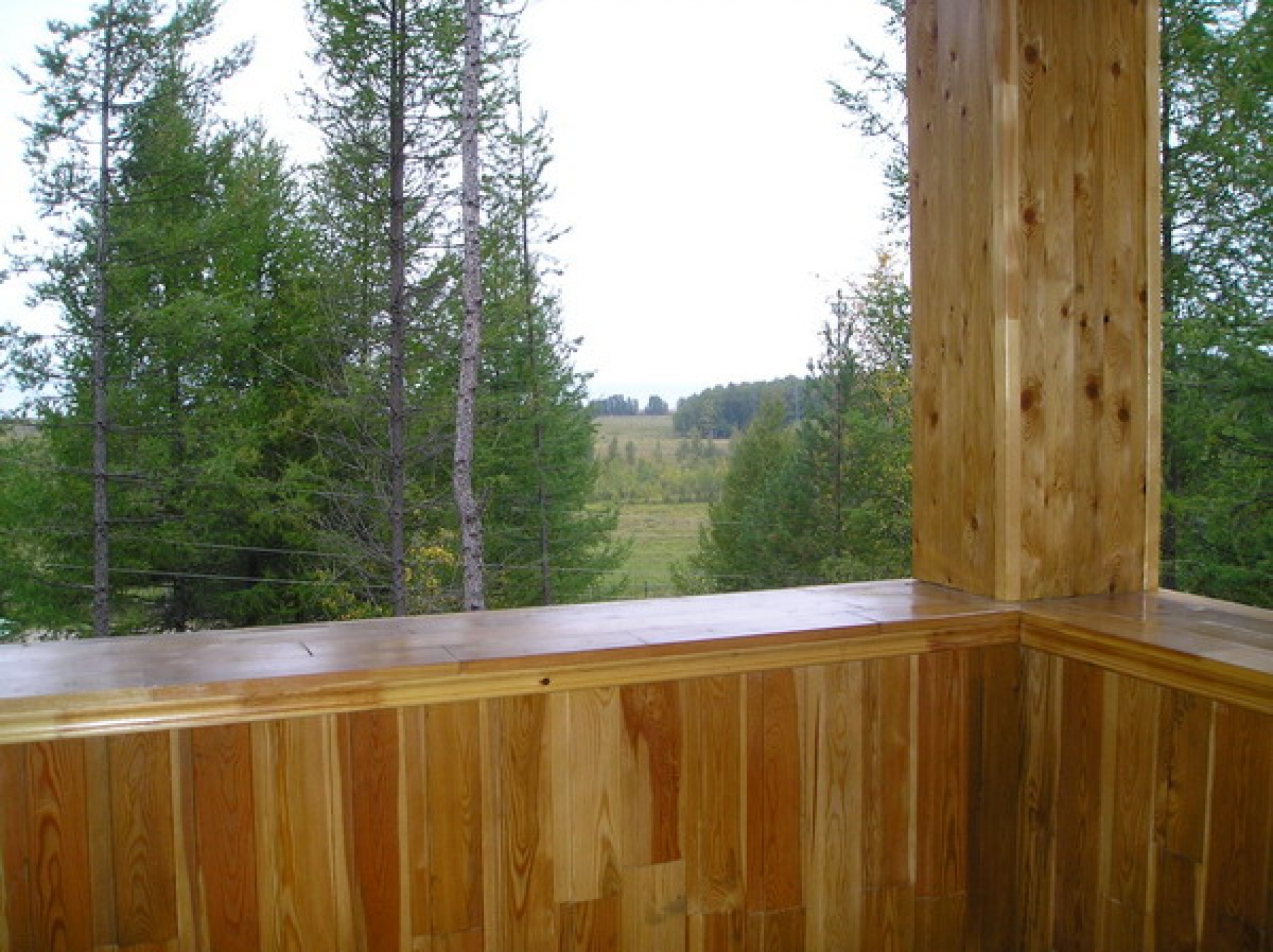 Фото Звездный