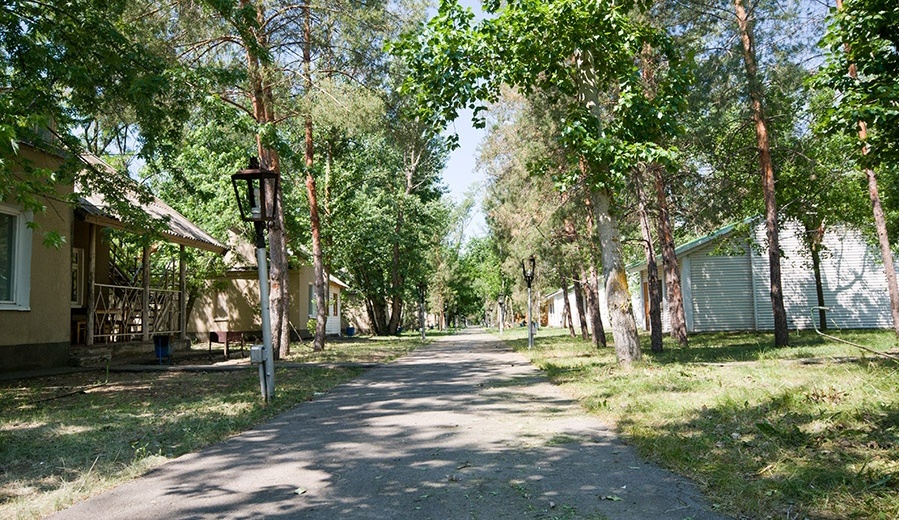 Фото Ветерок