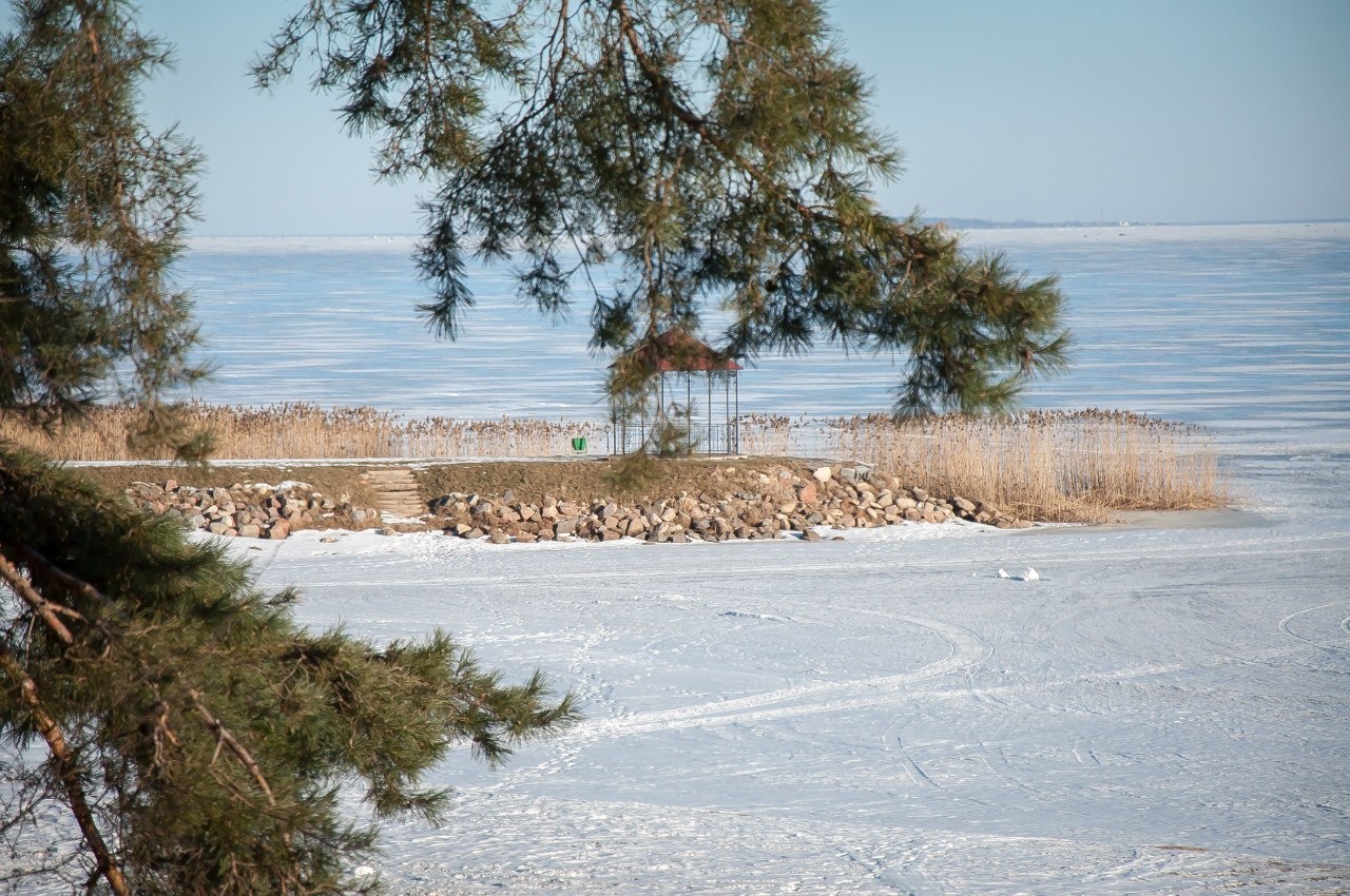 Фото Лукоморье