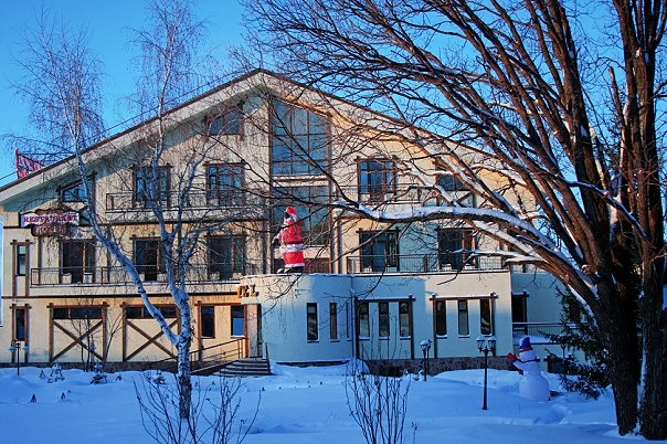 Фото Алая роза