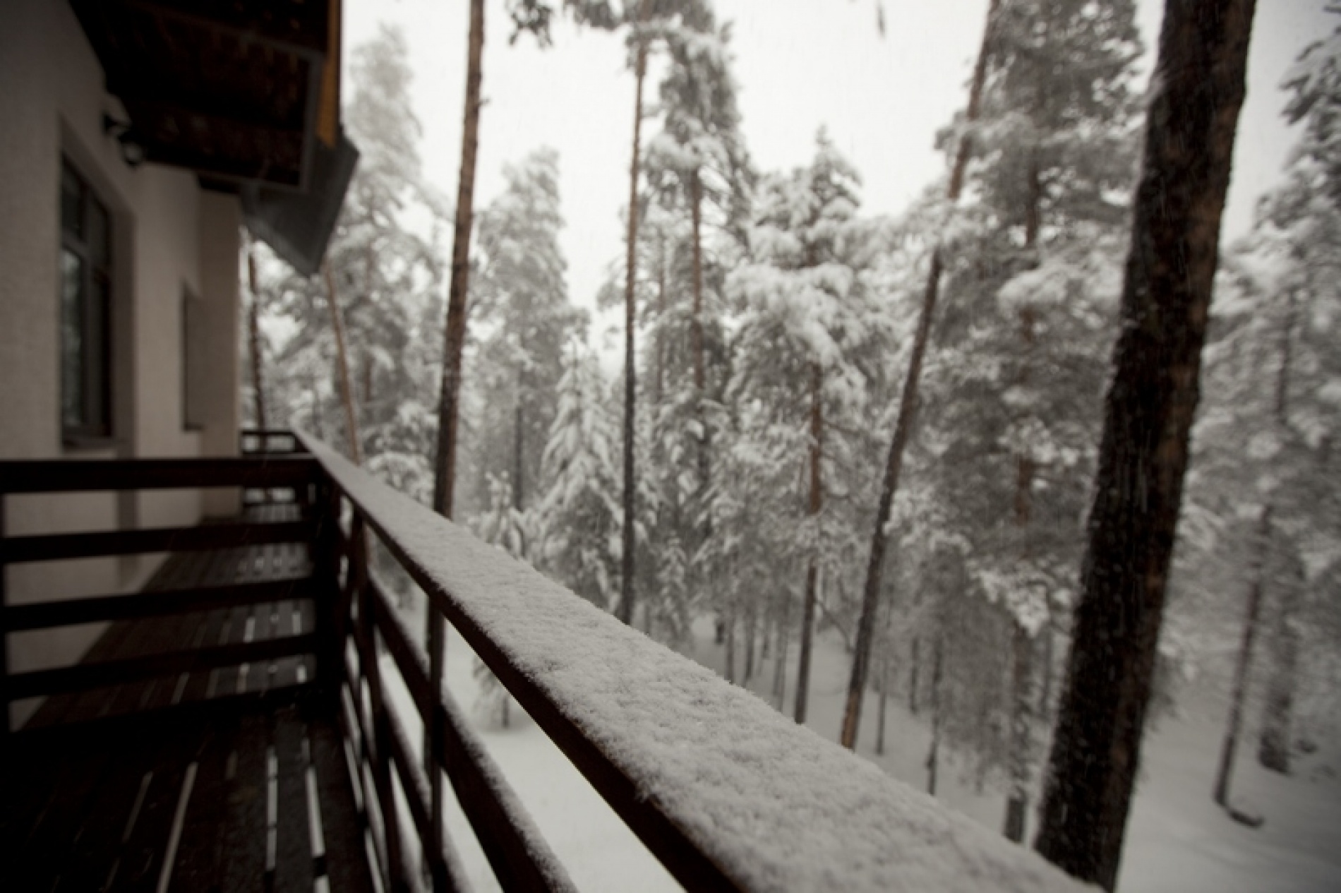 Фото Лагуна