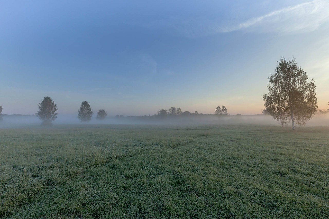 Фото Усадьба Родное