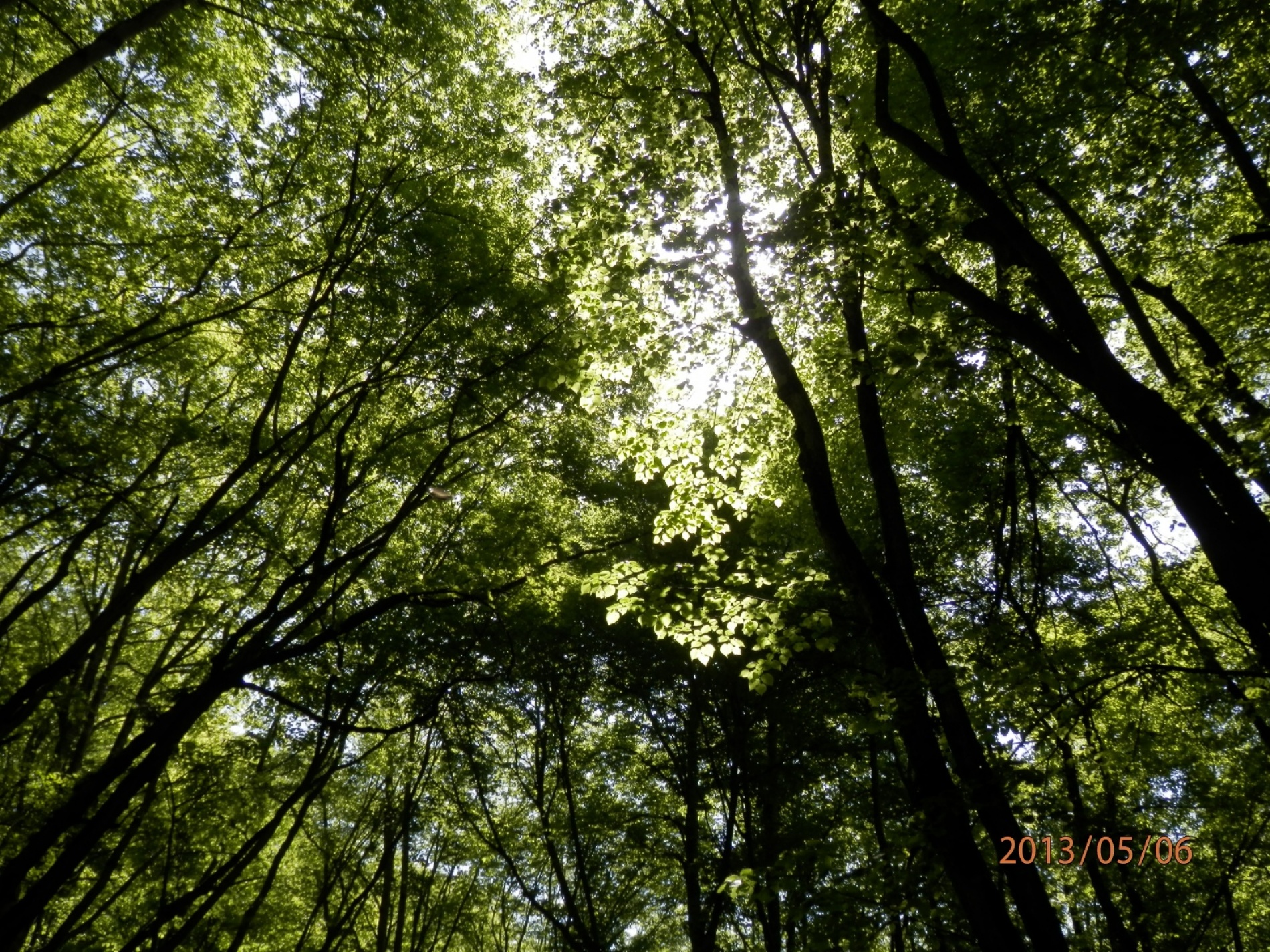 Фото Гостевой Дом Нахалёнок