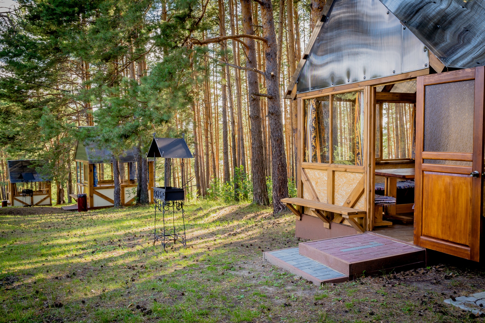 Фото Иволга