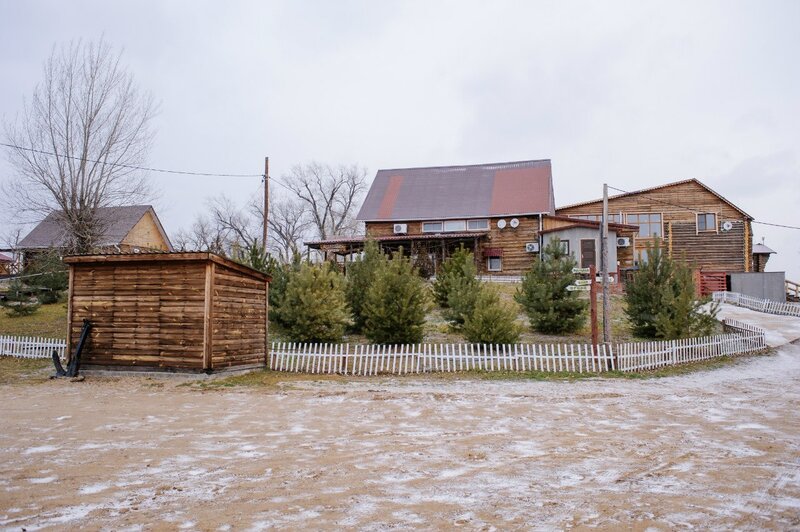 Летучая рыба — фото 4