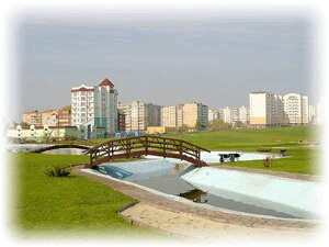 Лидер