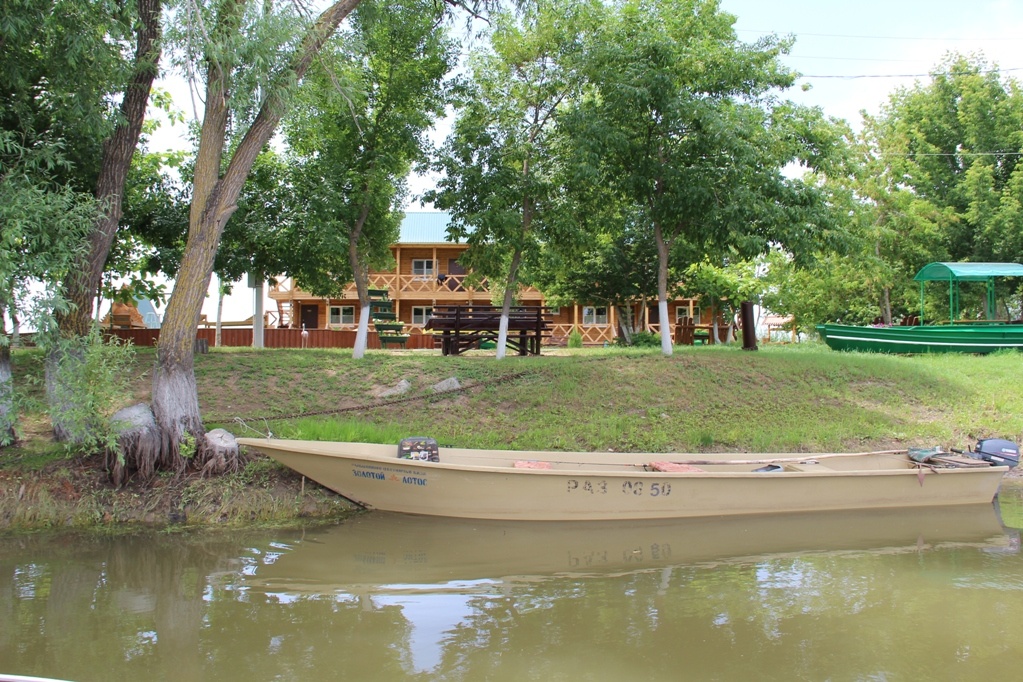 Фото Золотой Лотос