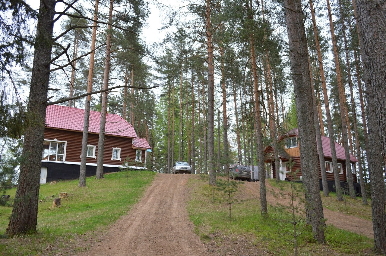 Фото Алёнушка