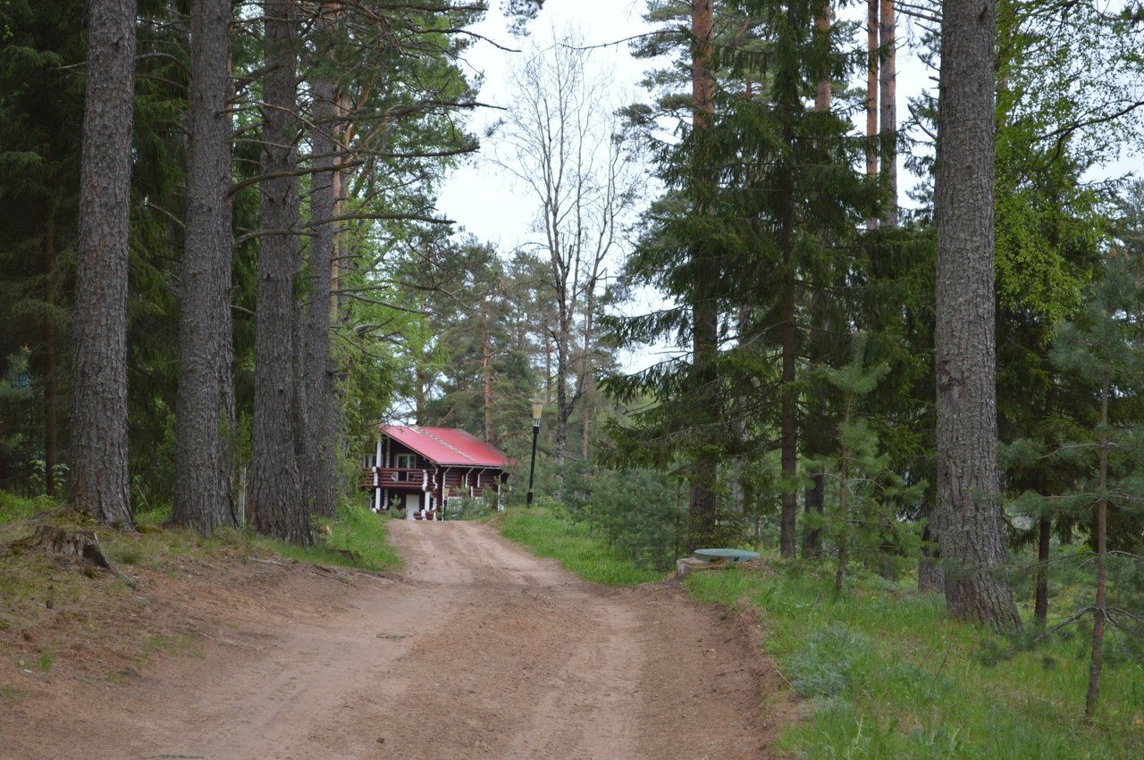 Фото Алёнушка