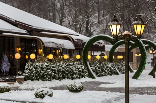 Иное жильё Ягода Малина в Возрождении